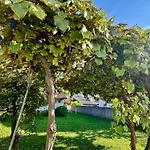 New Sunny 30 M2 In Area With Parking Ljubljana