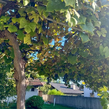 New Sunny 30 M2 In Area With Parking Любляна