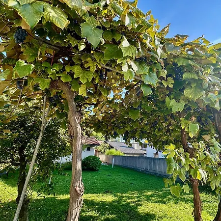New Sunny 30 M2 In Area With Parking 류블랴나