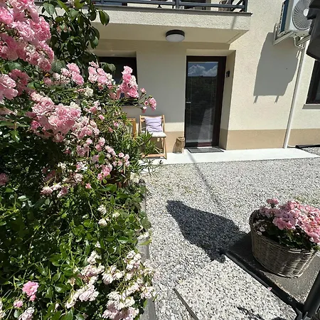 New Sunny 30 M2 In Area With Parking 아파트 *