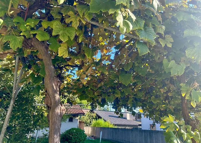 New Sunny 30 M2 In Area With Parking לובליאנה