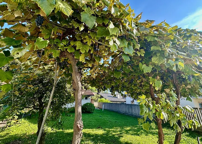 New Sunny 30 M2 In Area With Parking Любляна